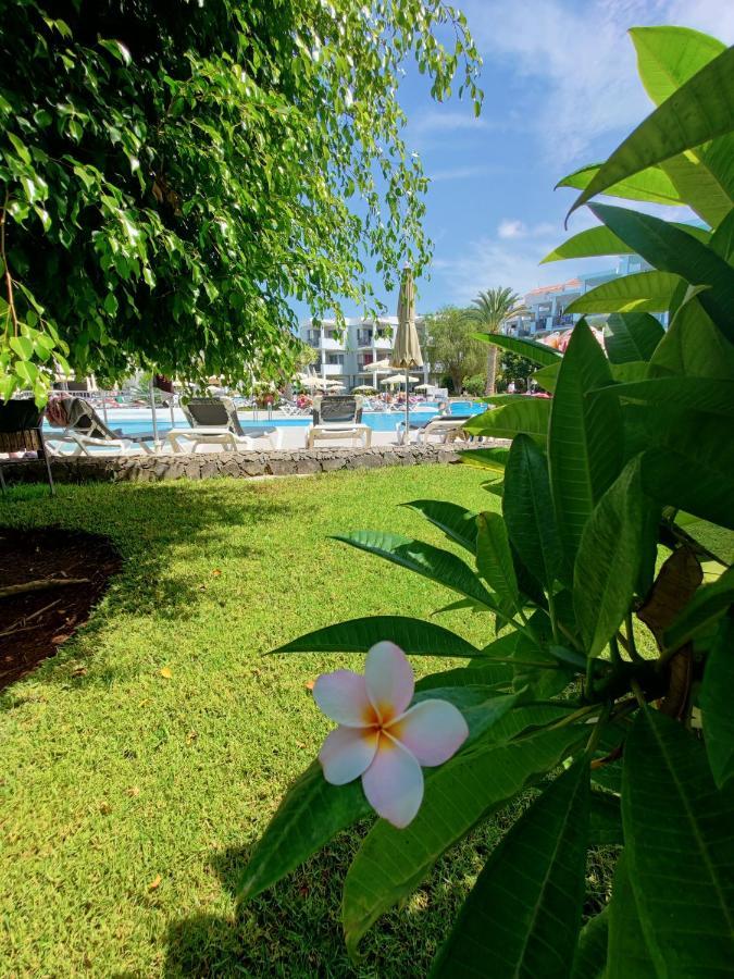 Private 150 Hg Tenerife Sur Los Cristianos (Tenerife)