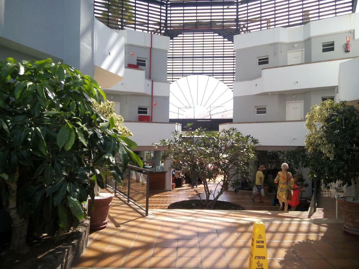 Apartment Private 150 Hg Tenerife Sur Los Cristianos (Tenerife)